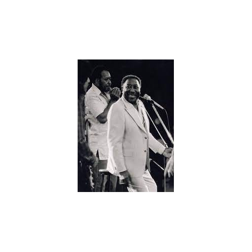 CHICAGO BLUES "ELECTRIC" GUITAR