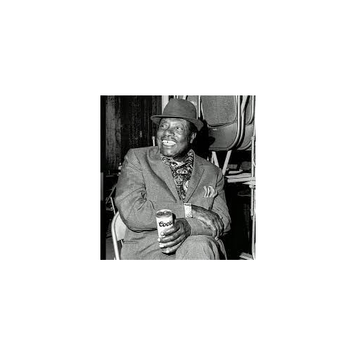 BUKKA WHITE / MISSISSIPPI BLUES GIANT