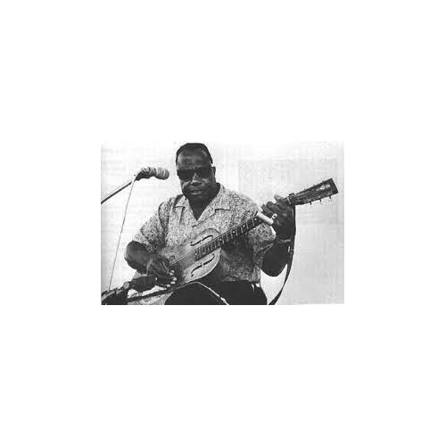BUKKA WHITE / MISSISSIPPI BLUES GIANT