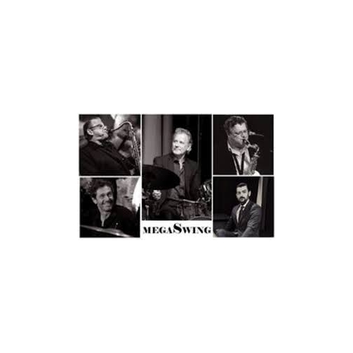 Le coeur de MEGASWING