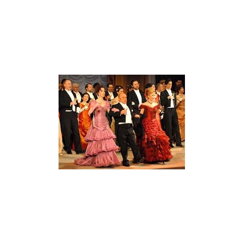 LA CHAUVE-SOURIS - LE BARON TZIGANE /...